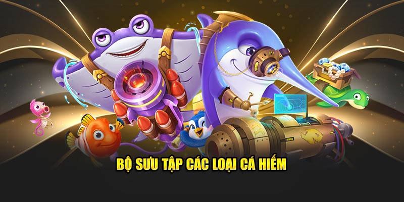 bo-suu-tap-cac-loai-ca-hiem