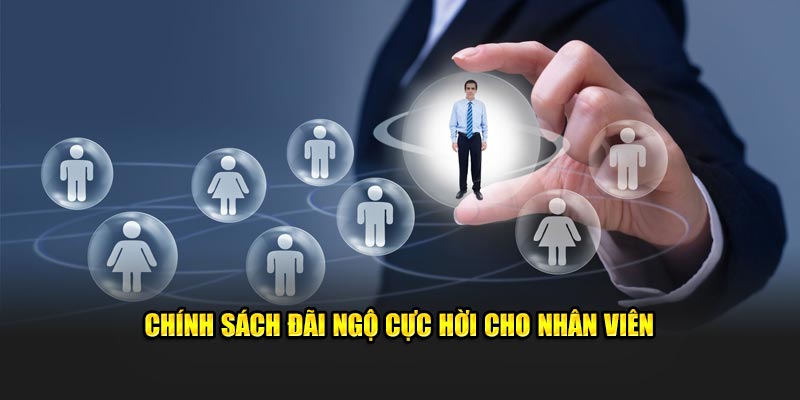 chinh-sach-dai-ngo-cuc-hoi-cho-nhan-vien