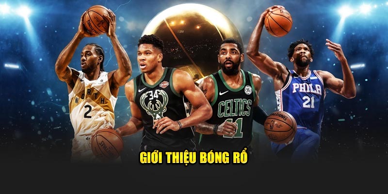 gioi-thieu-bong-ro