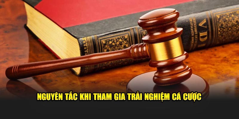 nguyen-tac-khi-tham-gia-trai-nghiem-ca-cuoc