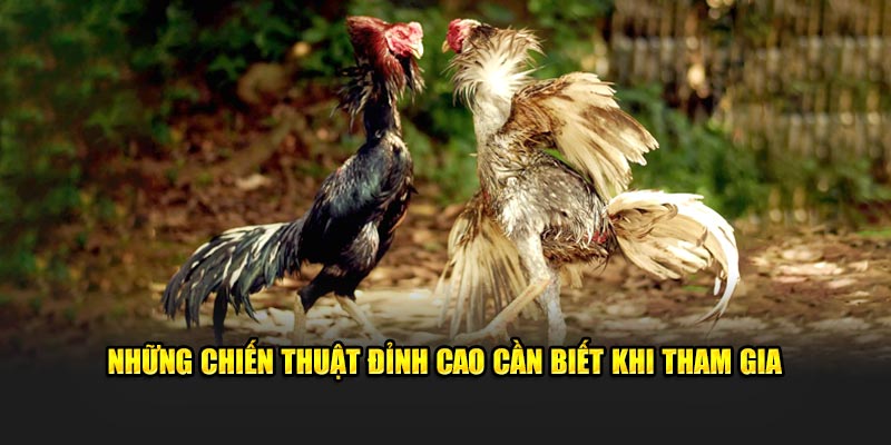 nhung-chien-thuat-dinh-cao-can-biet-khi-tham-gia
