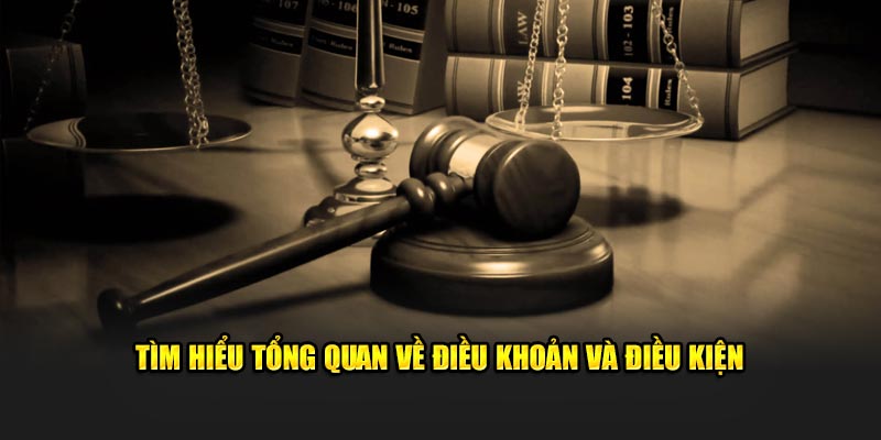tim-hieu-tong-quan-ve-dieu-khoan-va-dieu-kien