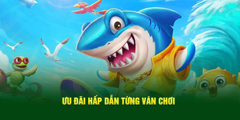 uu-dai-hap-dan-tung-van-choi